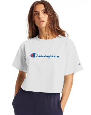 Champion Heritage Cropped Script Logo Blast Dam Vita | 7904528-GM