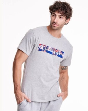Champion Klassiska Jersey Liquid Filled Block T-shirt Herr Grå | 6892543-DM