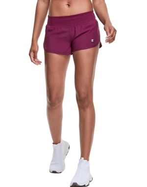 Champion Sport 2.5 Tröjor Dam Mörklila | 7408159-QK